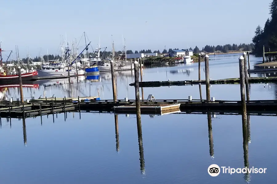 Umpqua Triangle Oysters