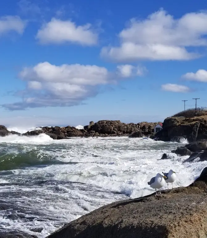 York Harbor