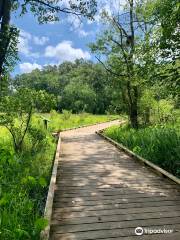 Lake Conestee Nature Park