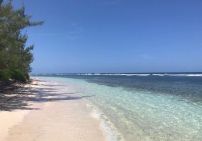 Red Stripe Beach