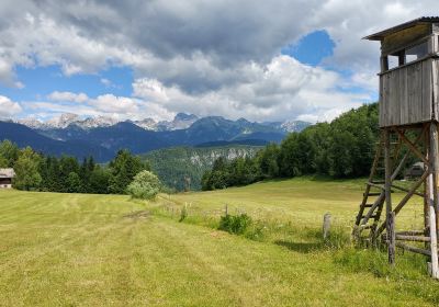 Izvir Bohinjske Bistrice