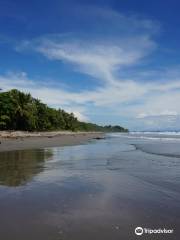 Nicoya Surf School