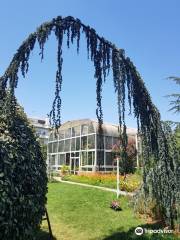 Botanic Garden Stavroupolis