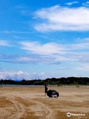 Spiaggia di Levante