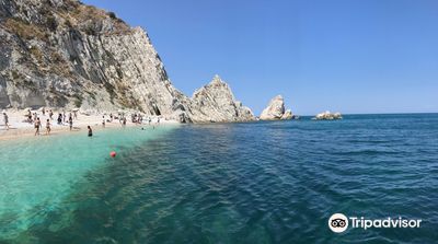 Traghettatori Riviera del Conero