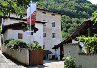 Südtiroler Obstbaumuseum