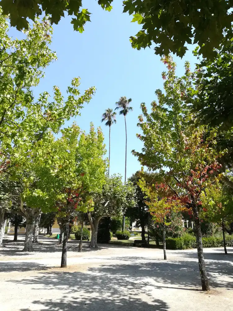 Hotels in Таменгуш