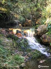 興寧市黃蜂窩茶山旅遊區