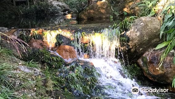 Xingning Huangfengwo Chashan Mountain Travel Zone