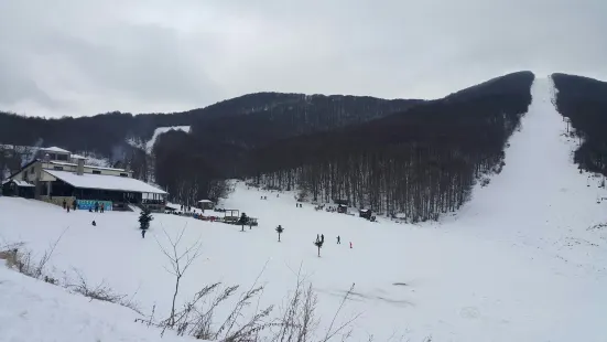 Ski Center Vigla-Pisoderi
