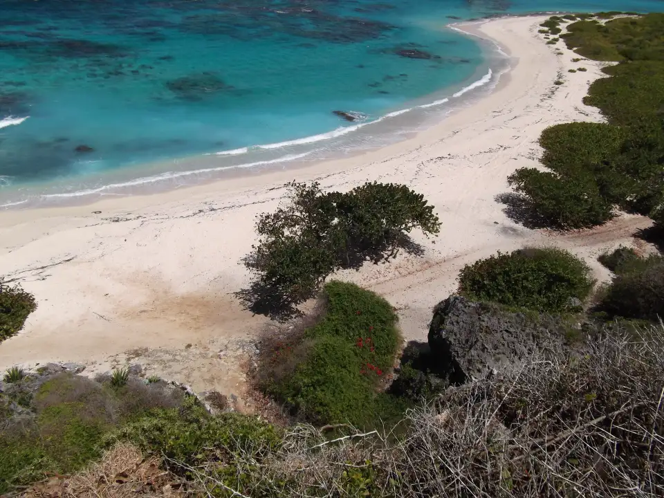 5_Barbuda Express
