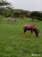 Yala Safaris Uganda