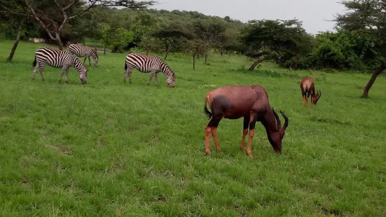 Yala Safaris Uganda