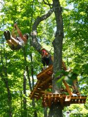 Treetop Trekking Huntsville