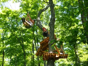 Treetop Trekking Huntsville