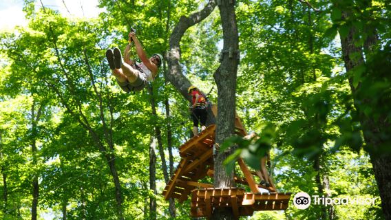 Treetop Trekking Huntsville