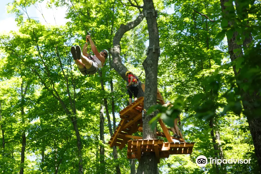 Treetop Trekking Huntsville