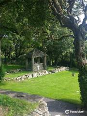 St. Cooey's Well