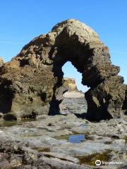 Le sentier de la Pointe du Payré