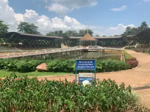 Uganda Martyrs Catholic Shrine Basilica, Namugongo