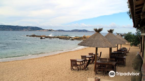 Arinella and Algaio Beach