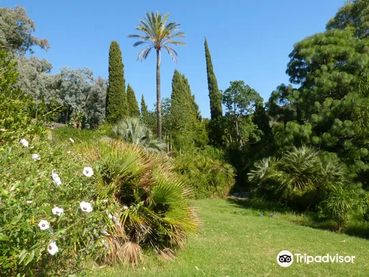 5_Domaine du Rayol, The Mediterranean Gardens