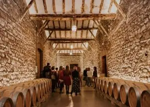 Bodegas Franco Espanolas