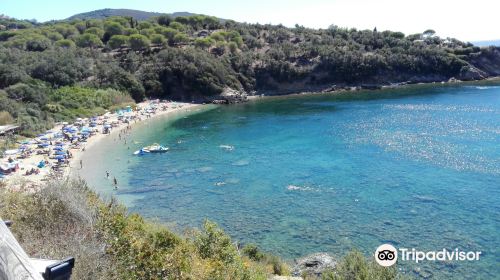 Spiaggia di Barabarca