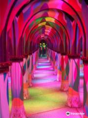 Monterey Mirror Maze