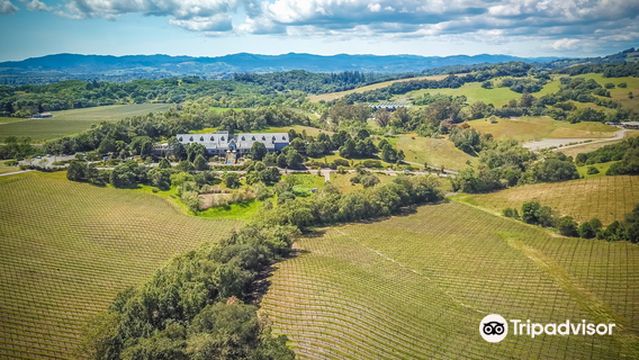 Chalk Hill Estate Vineyards
