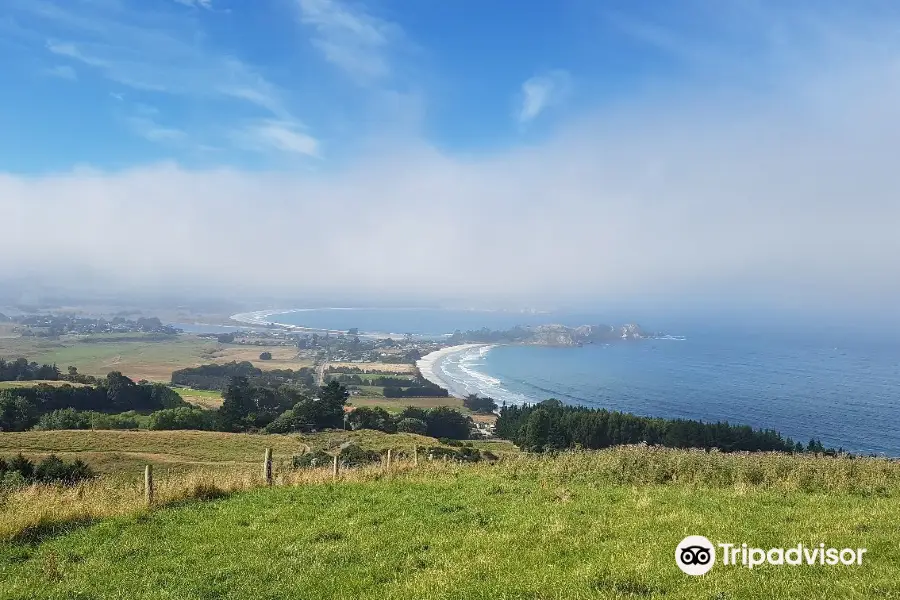 Waikouaiti Beach