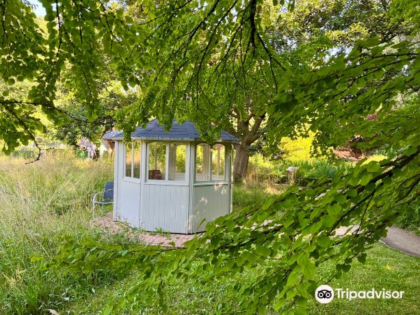 Schulgarten