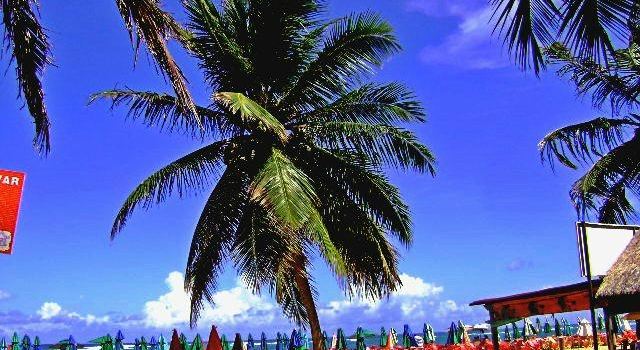 Praia do Gunga