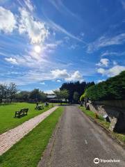 The Amelia Trust Farm