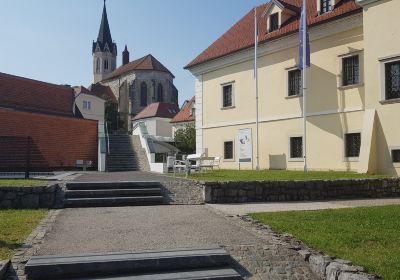 Museum of Dolenjska