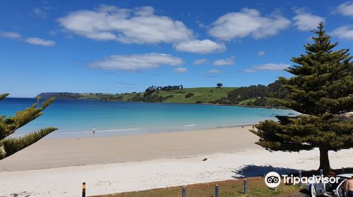 Boat Harbour Beach