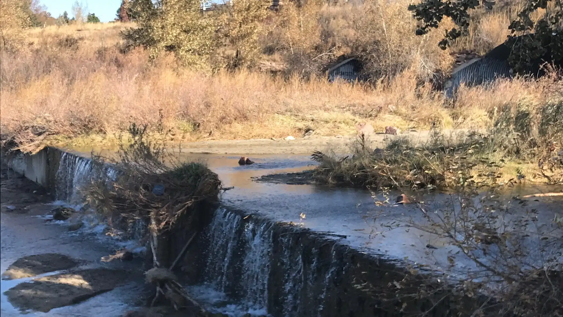 Hotels near Cottonwood Creek Park