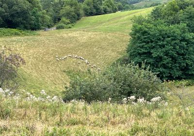 LA FERME AUX PIMENTS