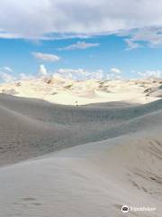Samalayuca Dune Fields