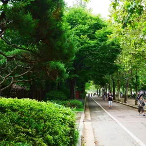 보라매공원
