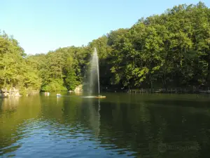 Parco Matildico di Montalto