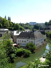 盧森堡國立自然歷史博物館