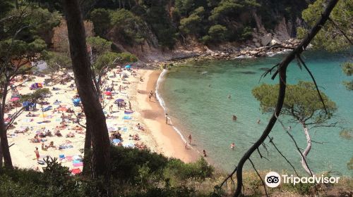 Platja Cala Aiguablava