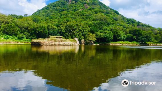 කලුදිය පොකුණ | Kaludiya Pokuna | களுடியா குளம்