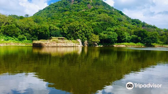 කලුදිය පොකුණ | Kaludiya Pokuna | களுடியா குளம்