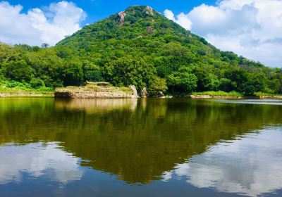 Kalu Diya Pokuna Natural Black Water Pond