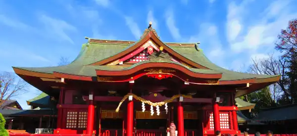 Hotels in Kasama