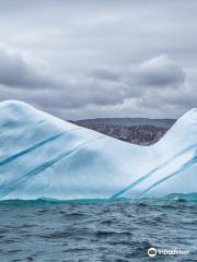 Iceberg Quest Ocean Tours