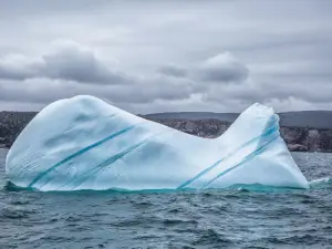 Iceberg Quest Ocean Tours