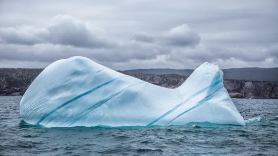 Iceberg Quest Ocean Tours